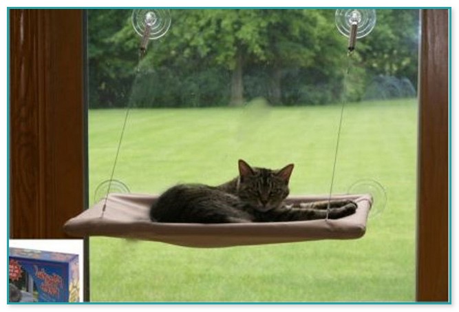 Cat Window Hammock With Suction Cups