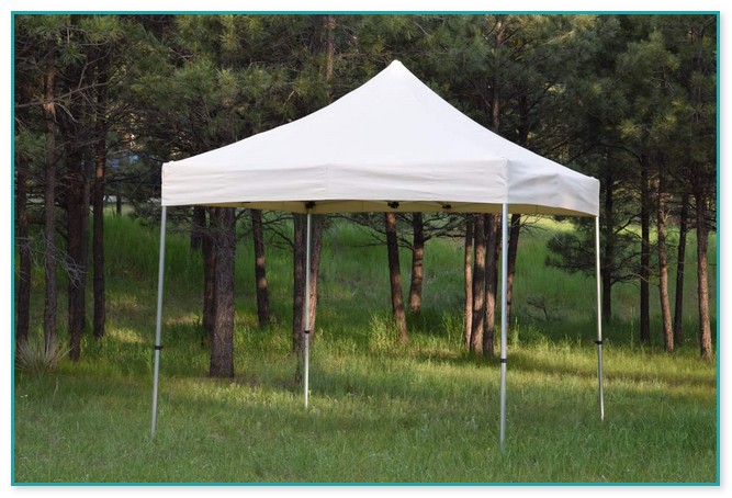 Commercial Grade 10x10 Canopy