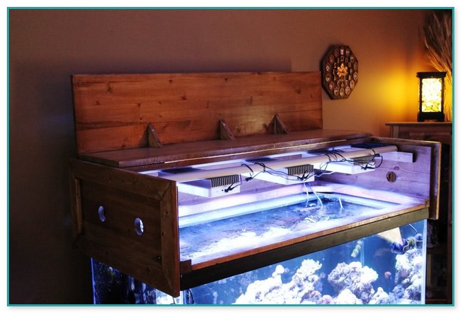 Fish Tank Canopy Design