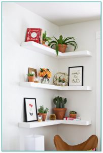 Where To Buy Corner Shelves