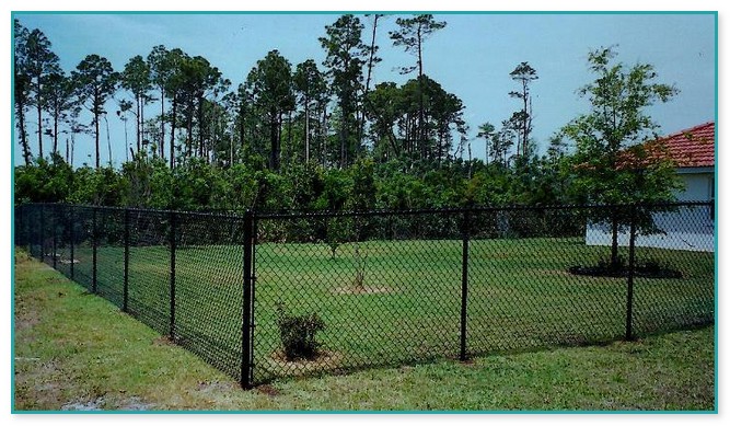 5 Foot Chain Link Fence