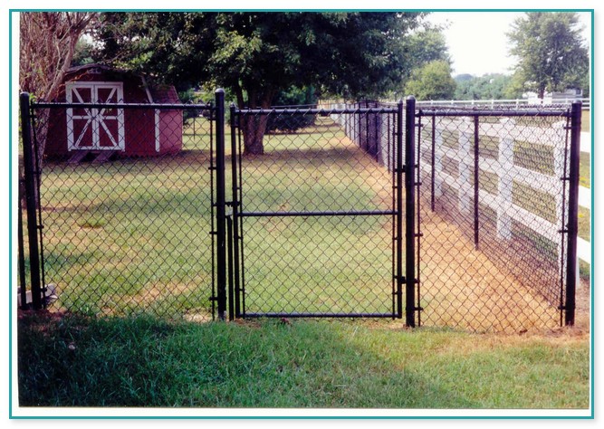 5 Ft Chain Link Fence