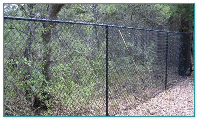 6 Black Chain Link Fence