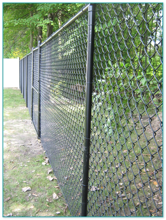 6 Chain Link Fence