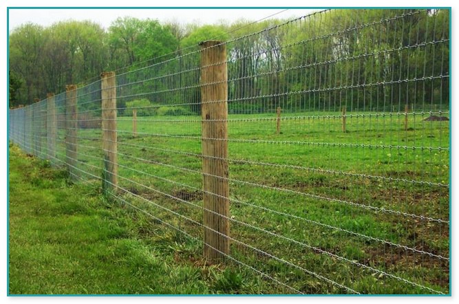 8 Foot Wire Fence
