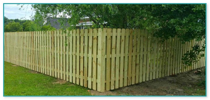 8 Ft Wood Fence