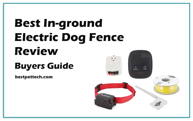 Best In Ground Dog Fence