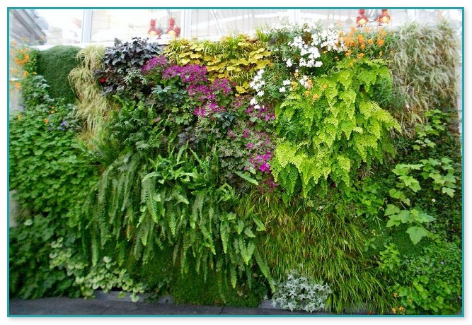 Best Plants For Vertical Gardens