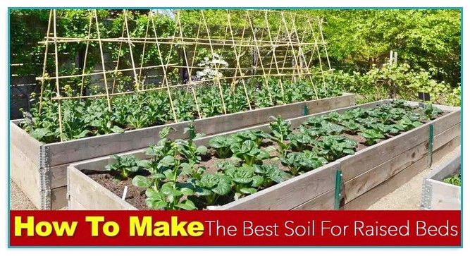 Best Soil For Raised Garden Beds