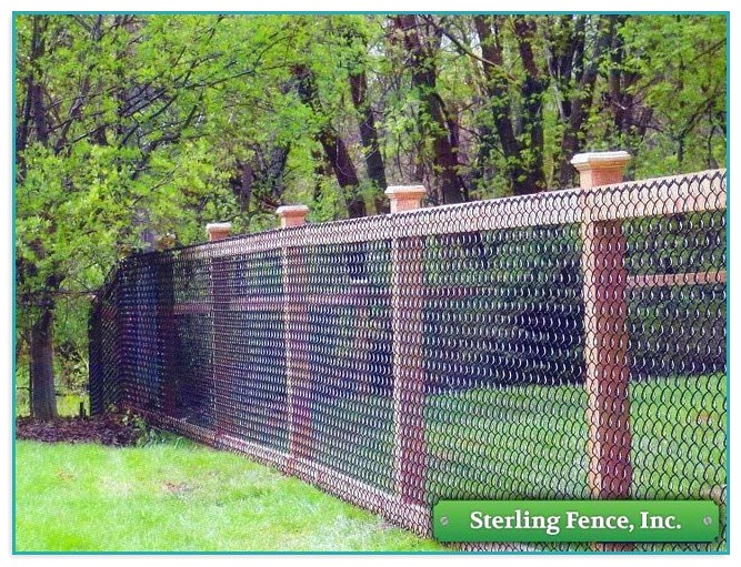 Chain Link Fence Ideas