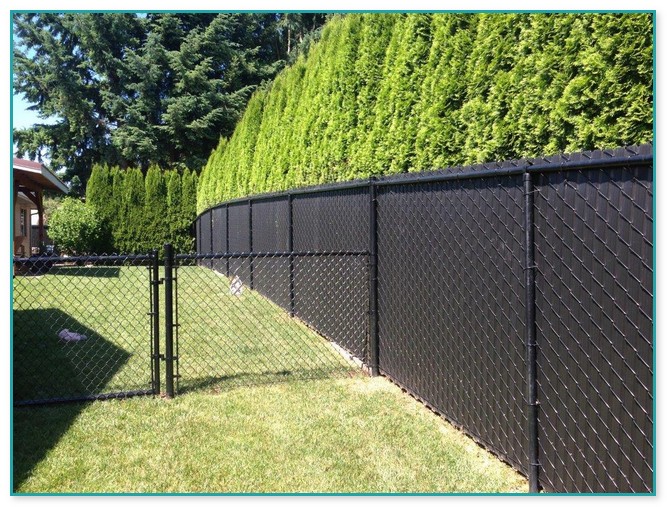Chain Link Fence Privacy | Home Improvement