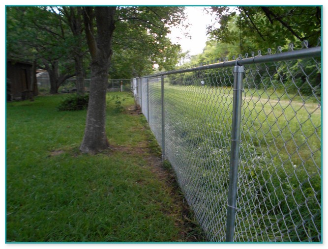 Chain Link Privacy Fence