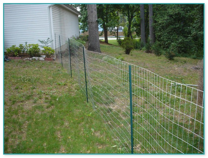 Cheap Easy Dog Fence