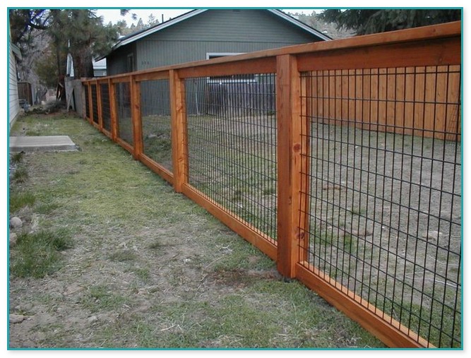 Chicken Wire Fence For Dogs