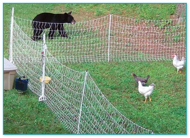 Cost Of Electric Fence