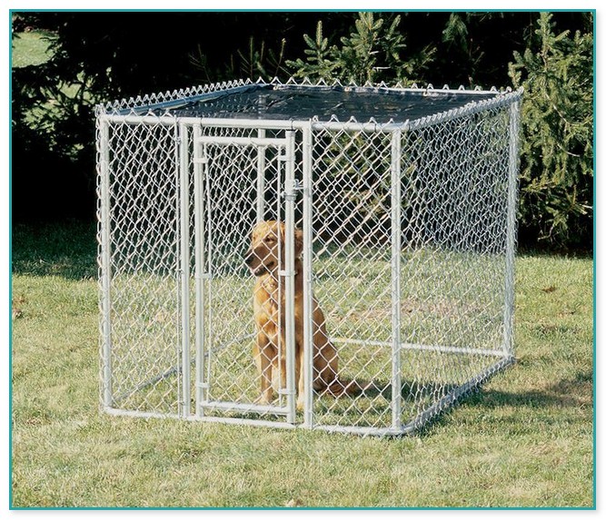 Cyclone Fence Dog Kennels