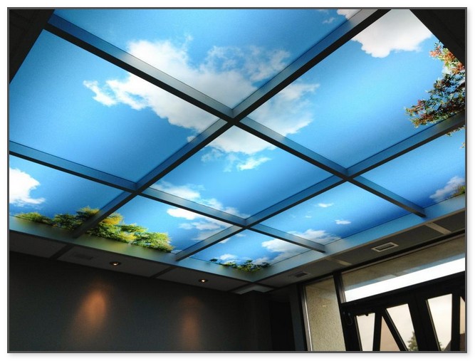 Decorative Drop Ceiling Tiles 2x4