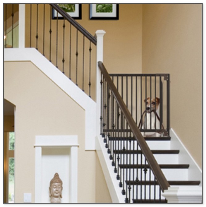 Dog Gates For Stairs