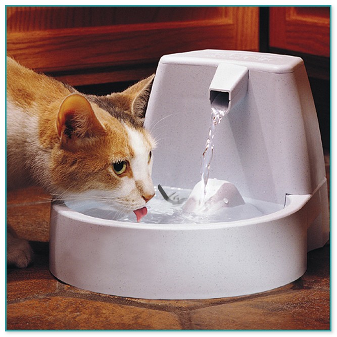 Drinking Fountains For Cats