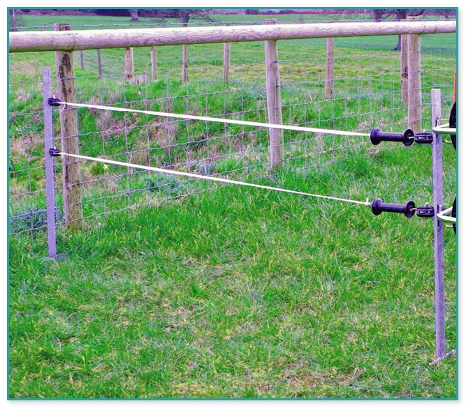 Electric Fence For Horses