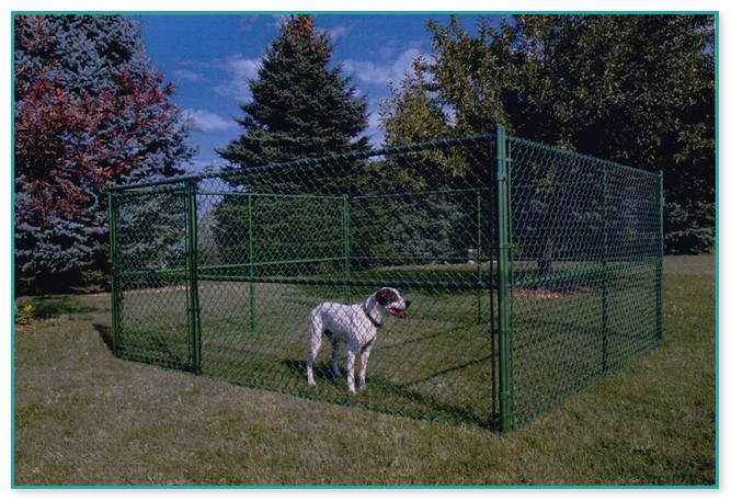 Fence For Dogs Outdoor