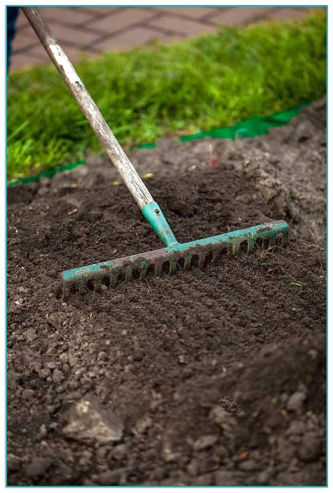 Garden Soil For Grass Seed
