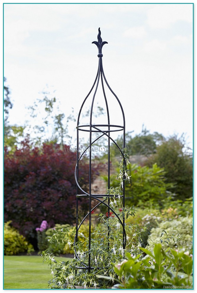 Garden Supports For Climbing Plants