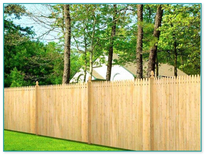 Home Depot Invisible Fence