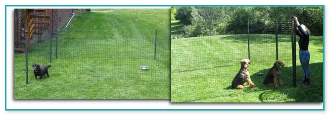 Mesh Fencing For Dogs
