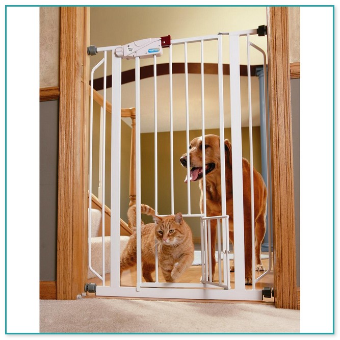 Pet Gates For Small Dogs