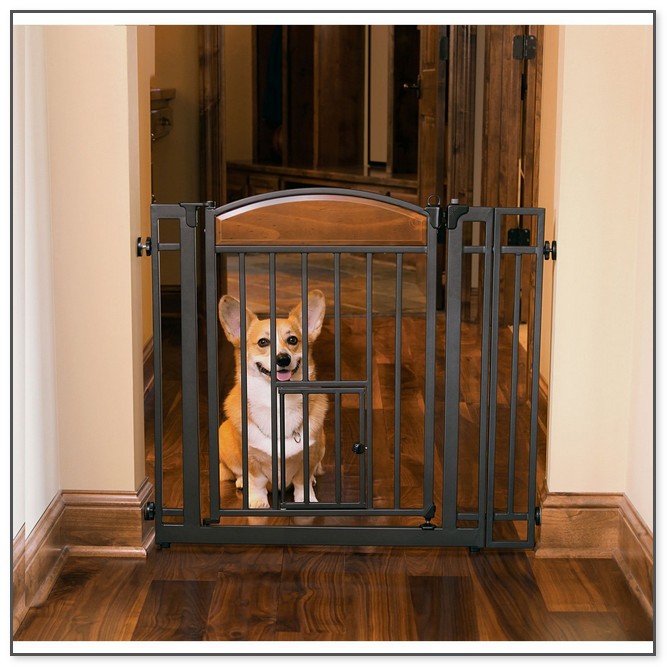 Pet Gates With Door