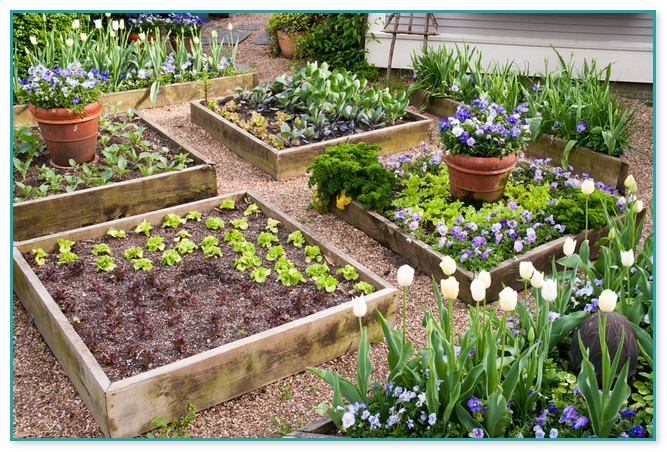 Planning A Raised Bed Vegetable Garden
