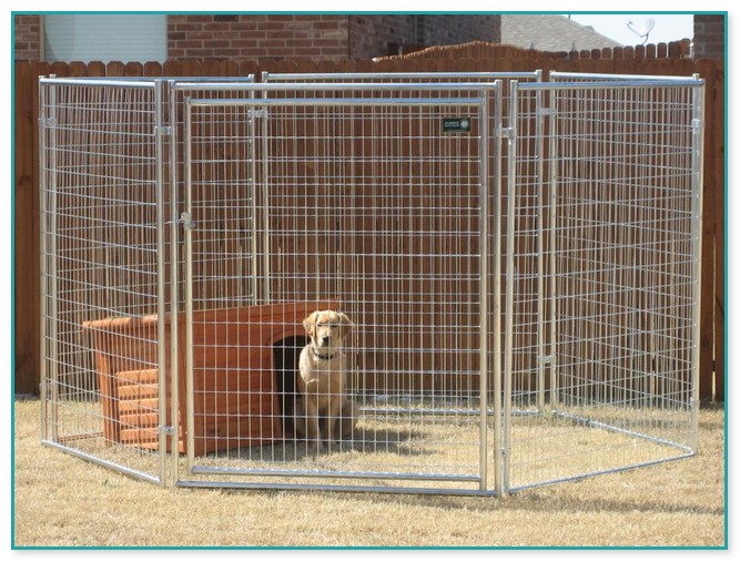 Portable Fencing For Dogs 1