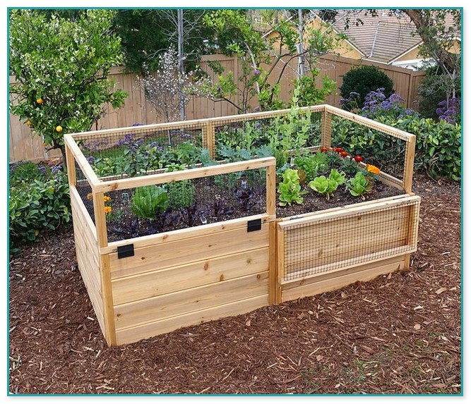 Raised Garden Bed With Fence