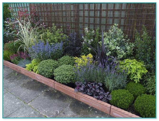 Small Plants For Garden Beds