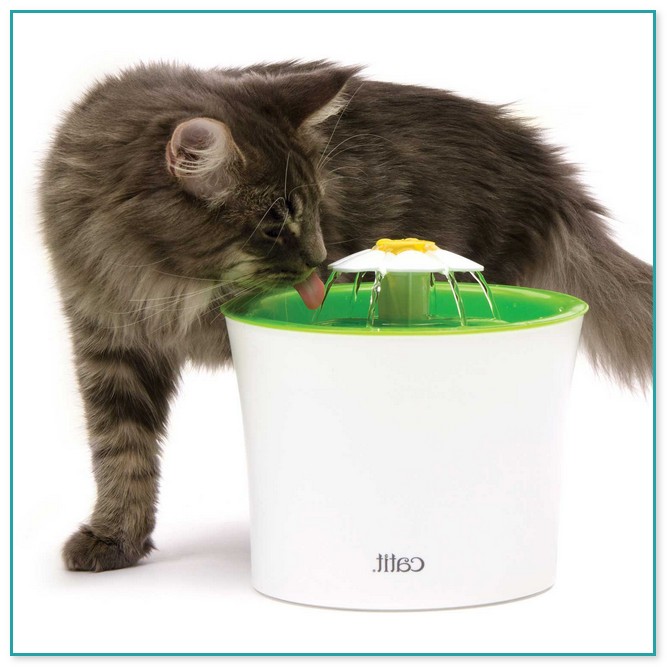 Water Fountains For Cats