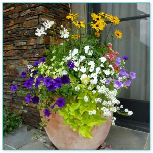 Container Flower Gardening Ideas 14