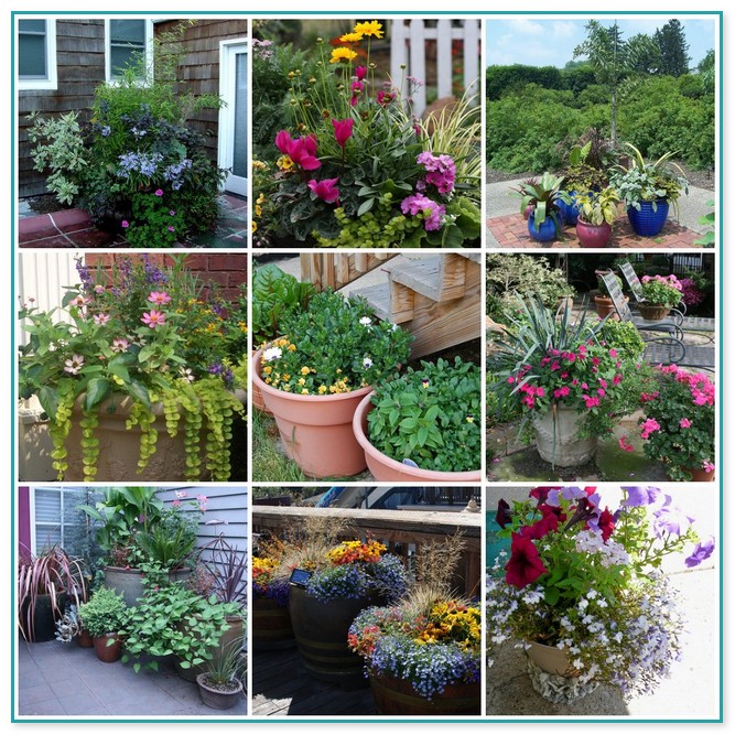 Container Flower Gardening Ideas 17
