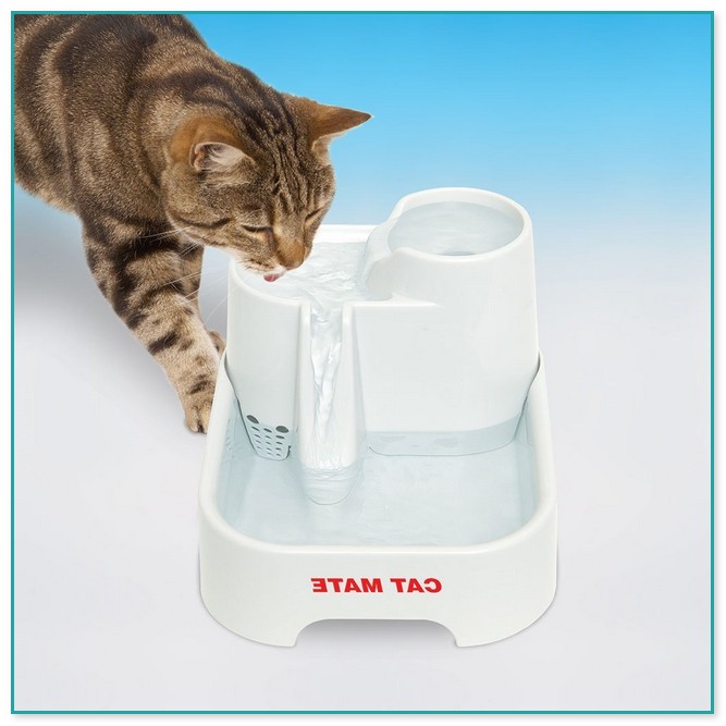 Amazon Water Fountain For Cats 3