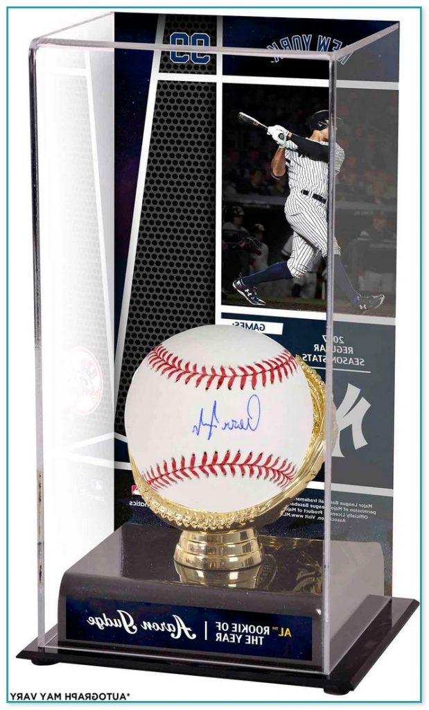 Baseball Bat Display Case Ebay 2