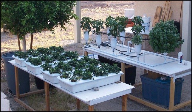 Best Homemade Hydroponic System For Cannabis