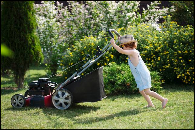 Best Lawn Mowers For Big Lawns