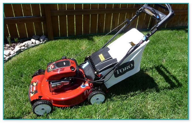 Best Push Lawn Mower For The Money
