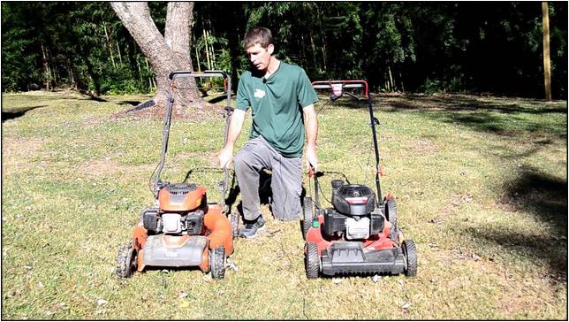 Best Push Mower For Lawn Care Business