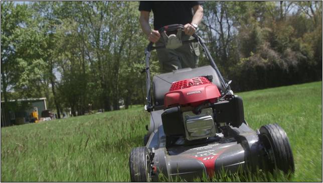 Best Reel Lawn Mower Consumer Reports