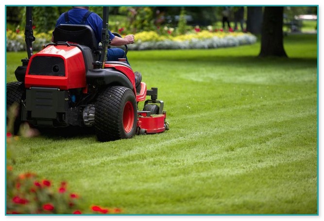 Best Time To Buy Riding Lawn Mower