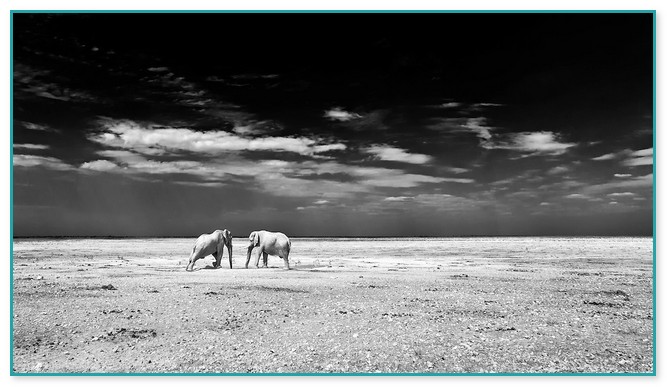 Black And White Landscape Photography For Sale