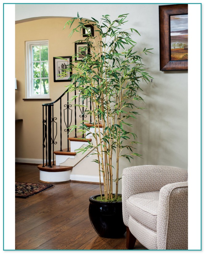 Decorative Trees For Home