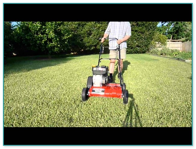 Dethatching Attachment For Lawn Mower