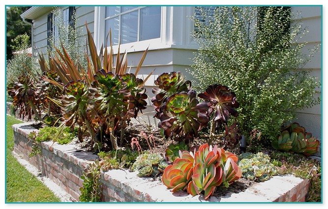 Drought Resistant Landscaping Los Angeles